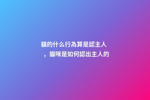 貓的什么行為算是認主人，貓咪是如何認出主人的-第1張-觀點-玄機派